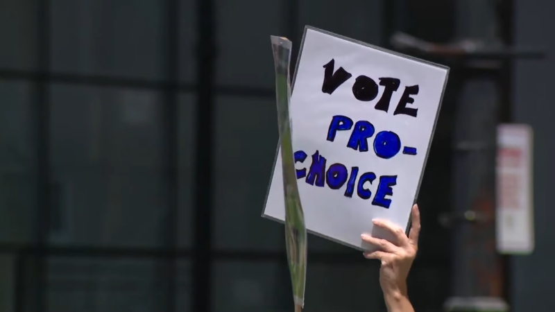 The Federal Plaza Demonstrations